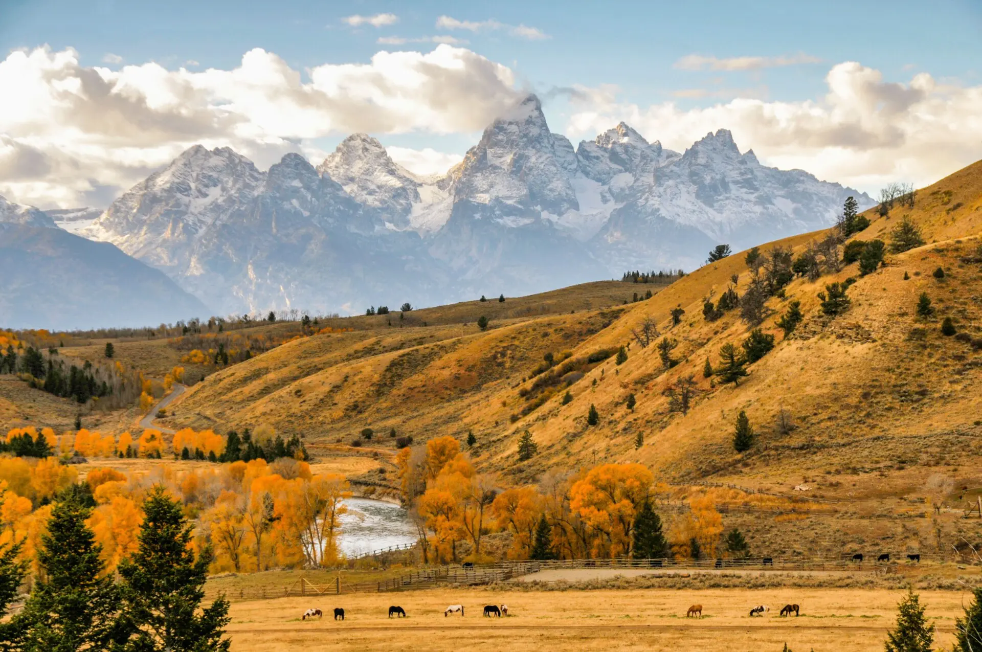 Autumn from the Gros Ventres - Stephen Williams Photography