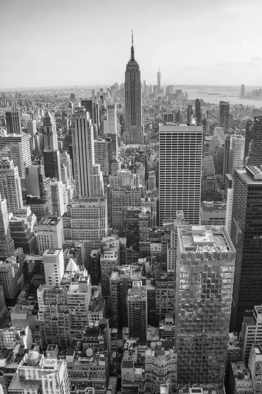 New York City in Black and White