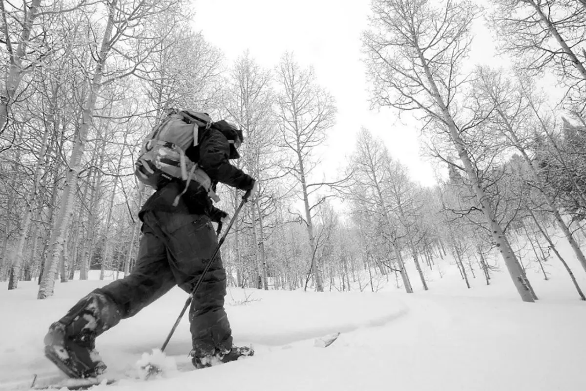 Stephen Williams Photography, Jackson Wyoming