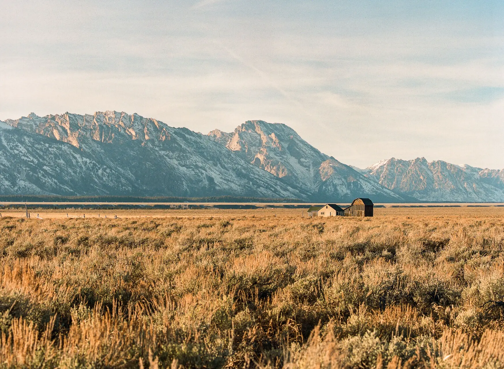 Late Fall on Film