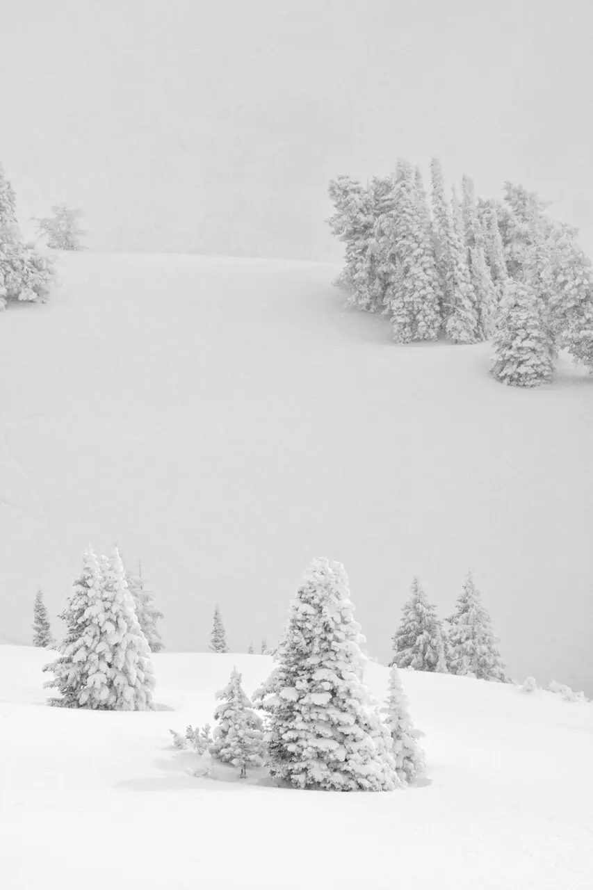 Layers and Layers of Snow - Stephen Williams Photography