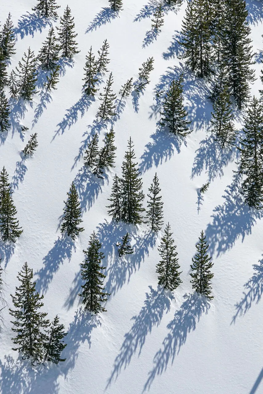 Winter Pattern in Yellowstone - Stephen Williams Photography