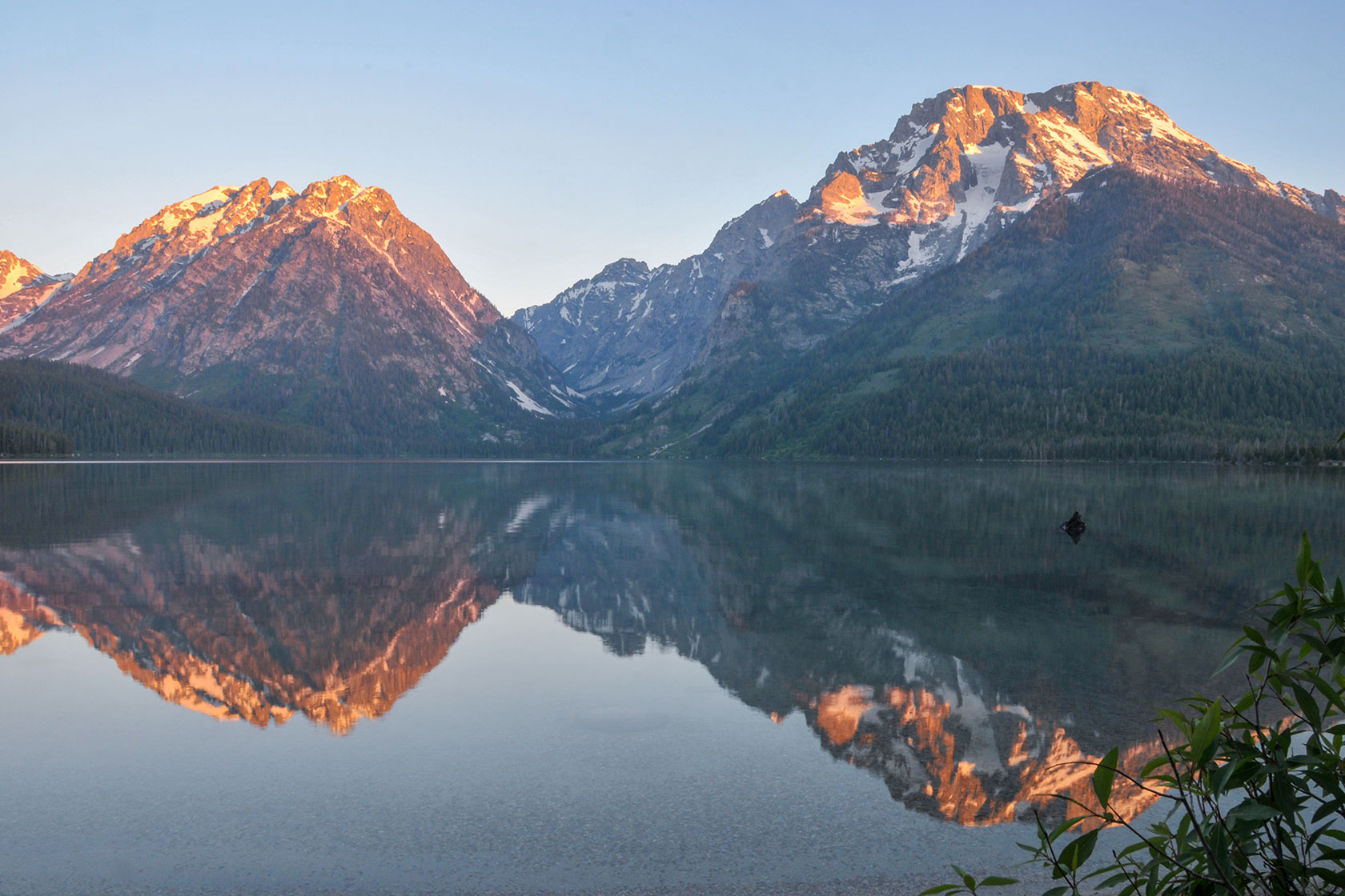 Leigh Lake Sunrise Reflection - Stephen Williams Photography, Jackson Wyoming